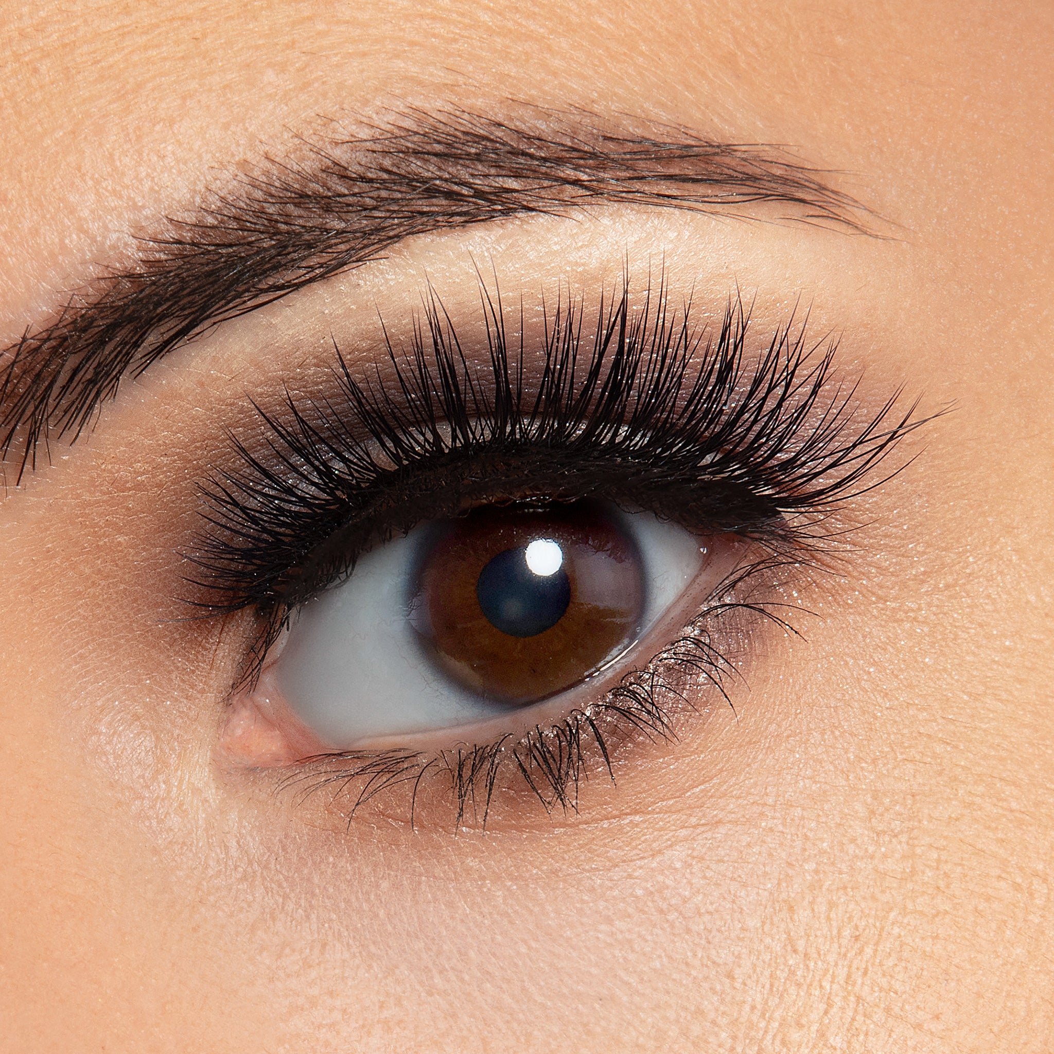 Sophia Korean Silk Lash