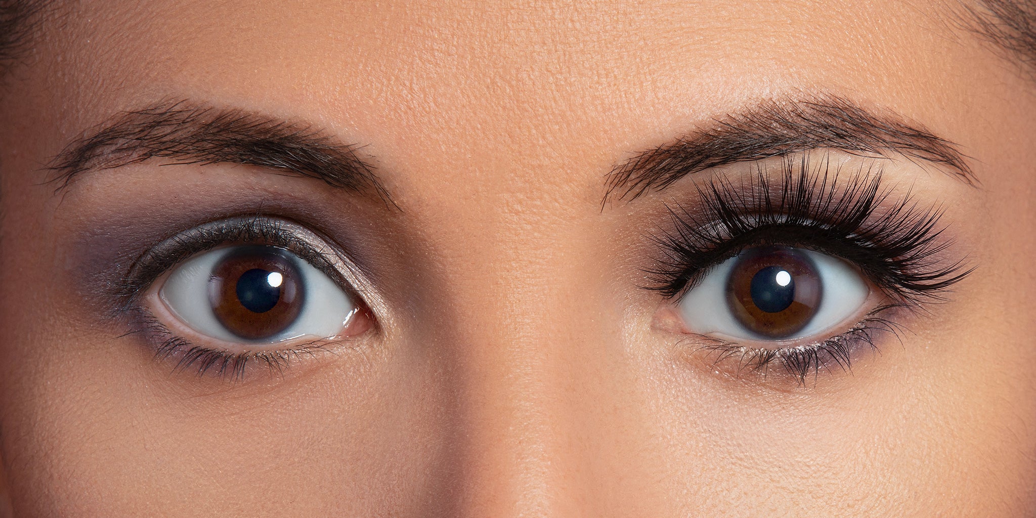 Hollywood Korean Silk Lash
