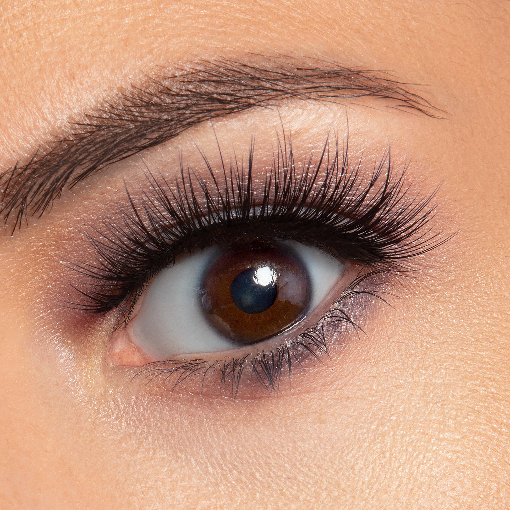 Bridgette Korean Silk Lash