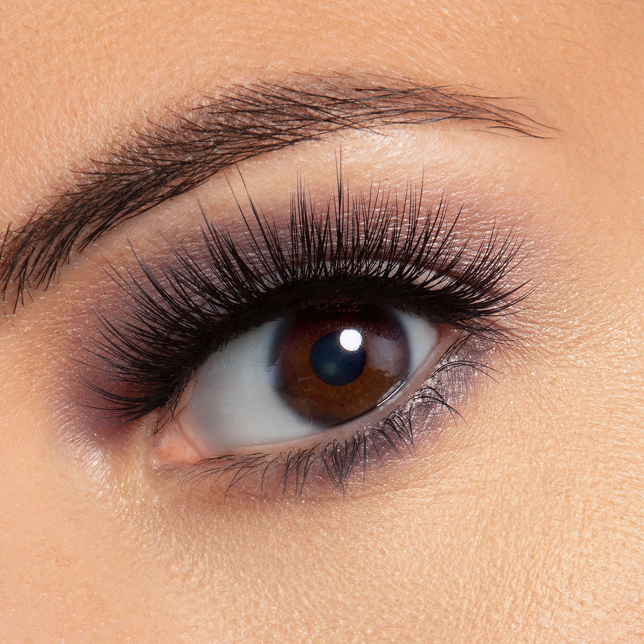 Liz Korean Silk Lash