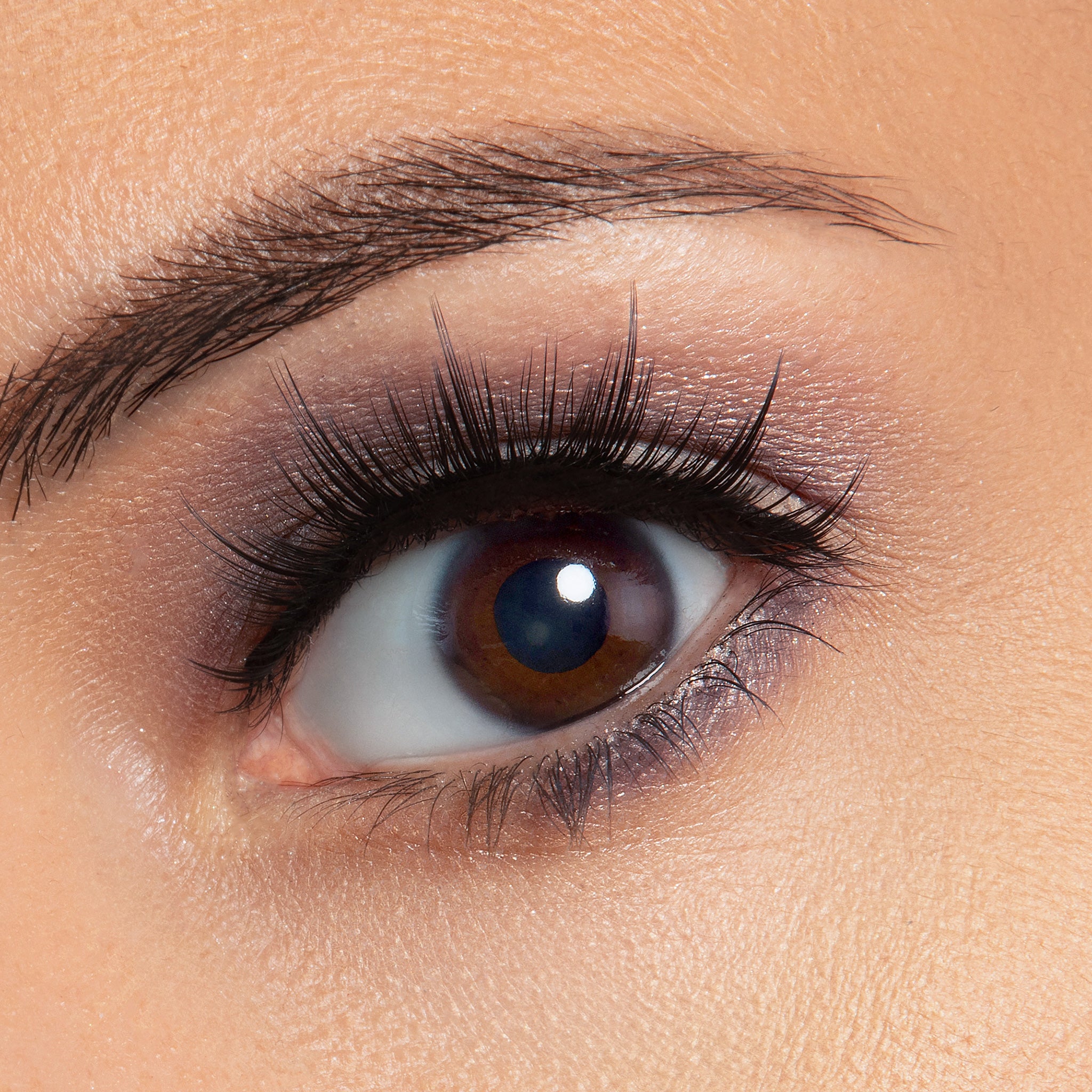Audrey Korean Silk Lash