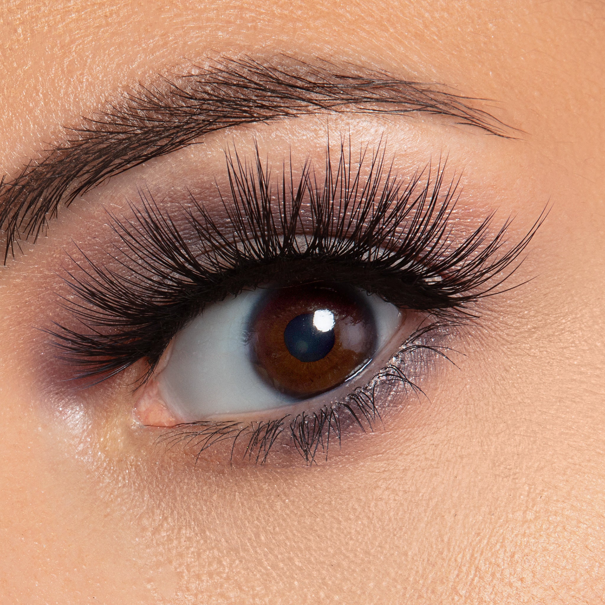 Sunset Strips Korean Silk Lash