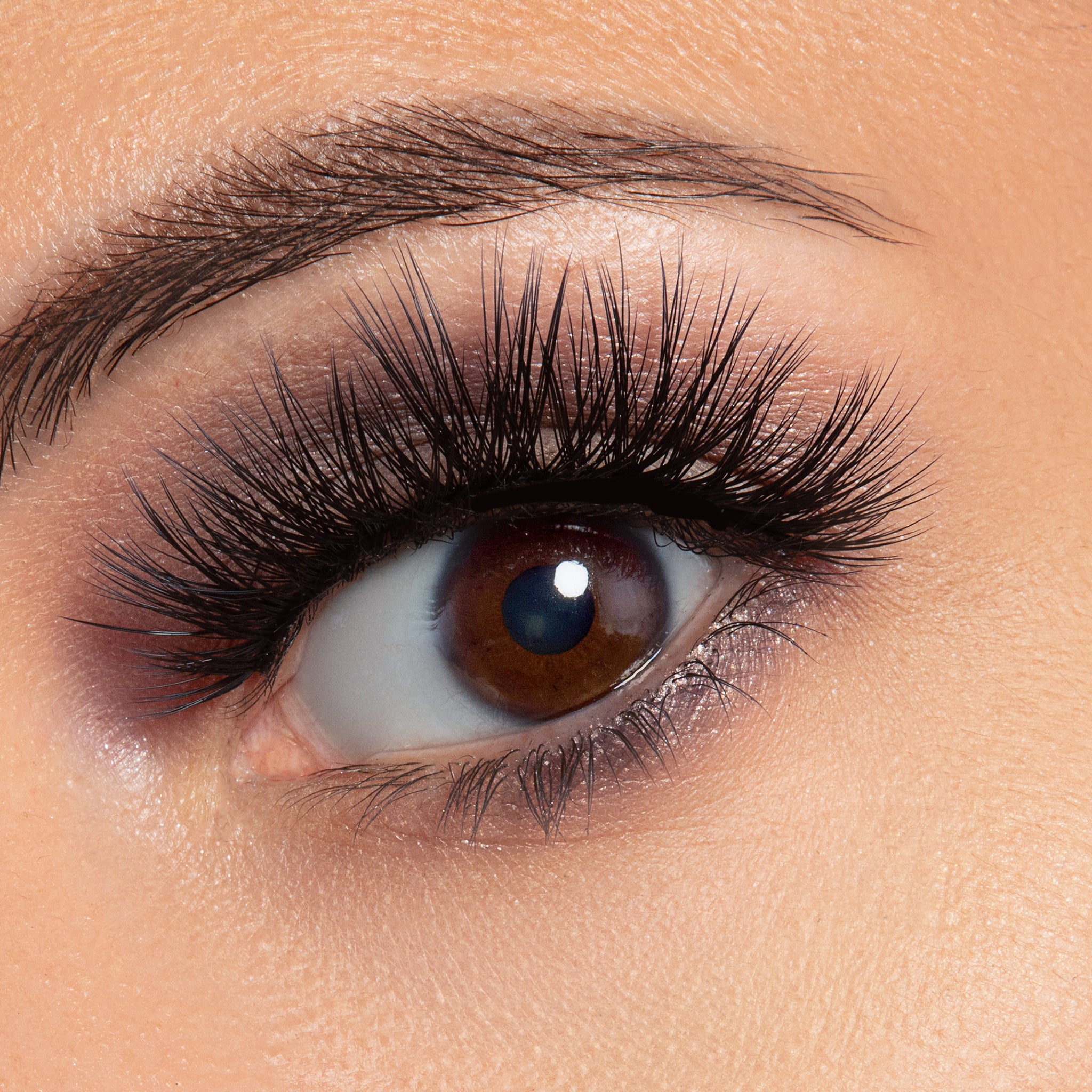 Scene Stealer Korean Silk Lash